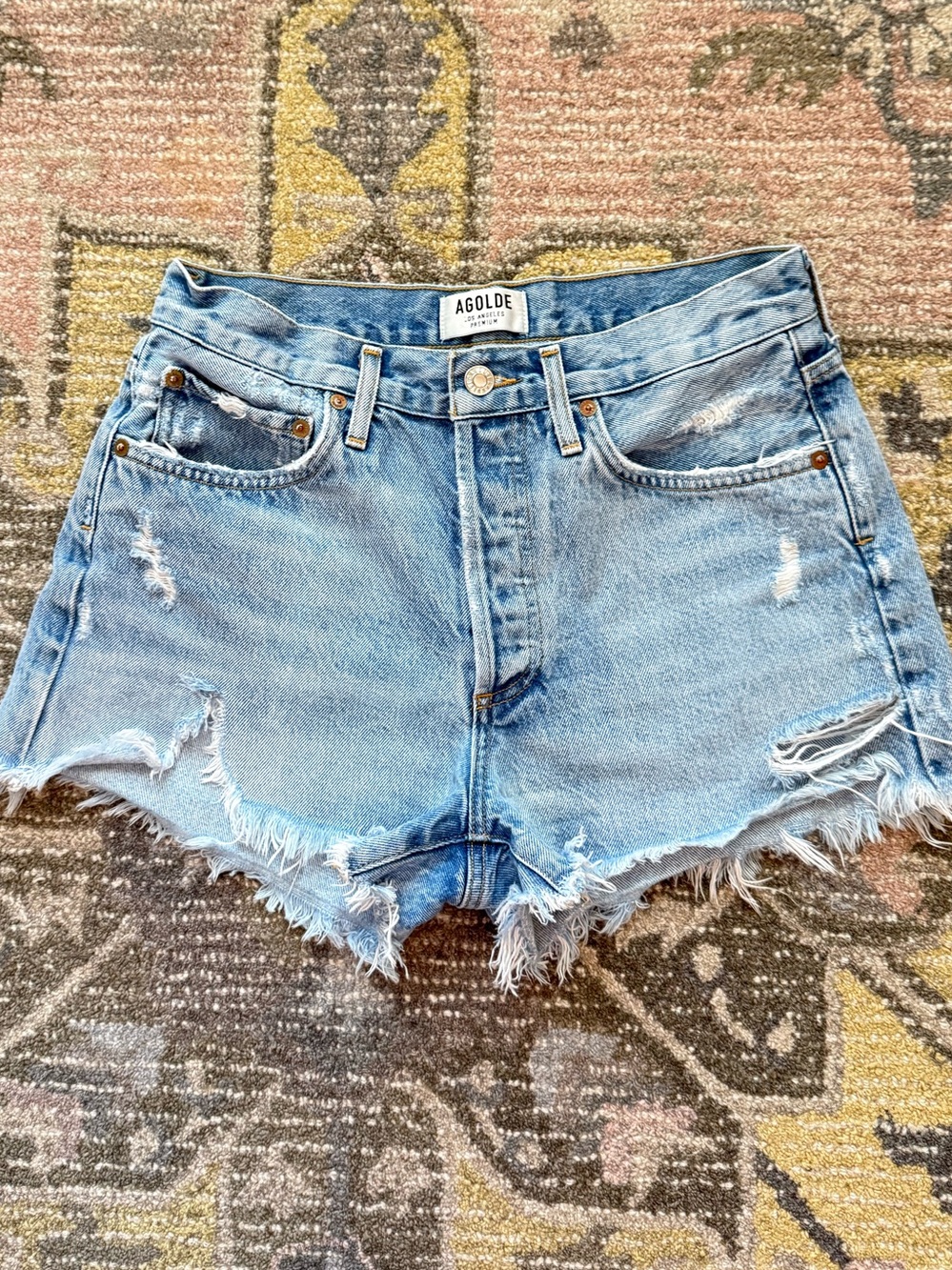 Agolde Parker Denim Cutoff Shorts